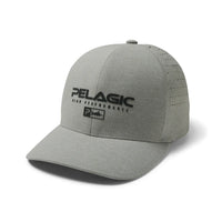 Flexfit Cap Pincoal Light Grey 1